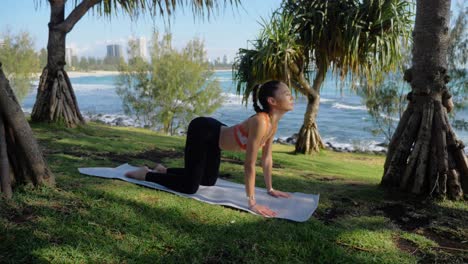 young woman in sportswear doing yoga poses for back pain - cat to cow yoga pose exercise on mat - burleigh heads beach in queensland, australia