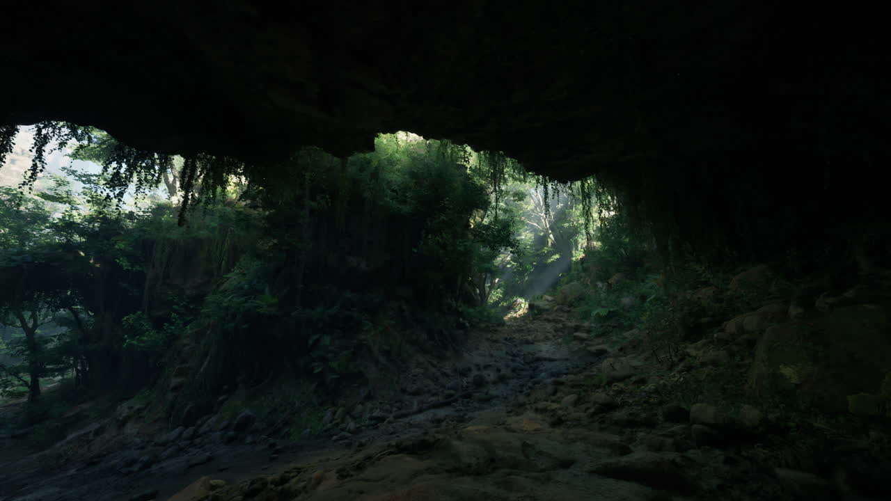 el misterioso camino de la cueva de la jungla
