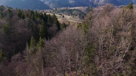 Un-Denso-Bosque-Con-Pinos-Verdes-Y-árboles-Desnudos-En-La-Ladera-De-Una-Montaña-A-Finales-De-Otoño,-Vista-Aérea