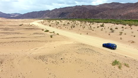 Making-tracks-through-the-Namibian-Desert