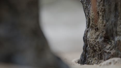 closeup of dark stone volcanic rock with waves crashing out of focus in background