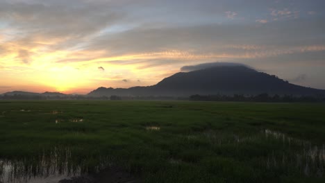 Panning-of-rice-paddy-field