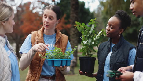 grupo de voluntarios plantando árboles y plantas en un parque