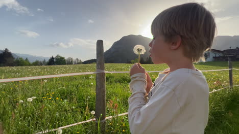 a young boy stands in a countryside field, surrounded by dandelions and grass, blowing a dandelion at sunset. the rural setting with mountains in the background captures the essence of childhood