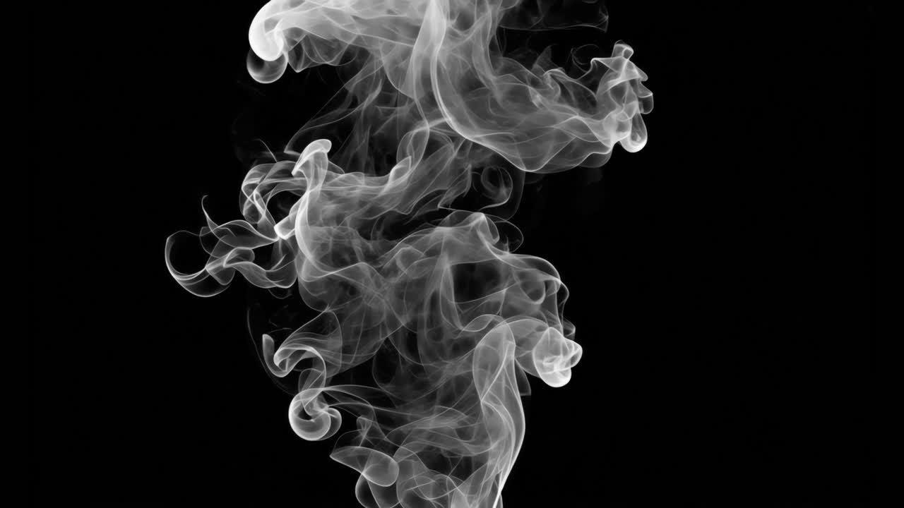 White smoke animated overlay, transparent 4K video, alpha channel, ProRes 4444