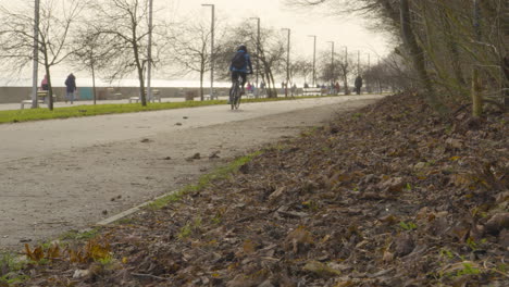 A-woman-rides-a-bicycle-on-a-path-near-the-boulevard-close-to-the-forest-and-natural-environment---low-angle-camera