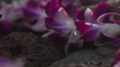 Hermoso-Primer-Plano-De-Flores-Lei-En-Rocas-En-Hawaii