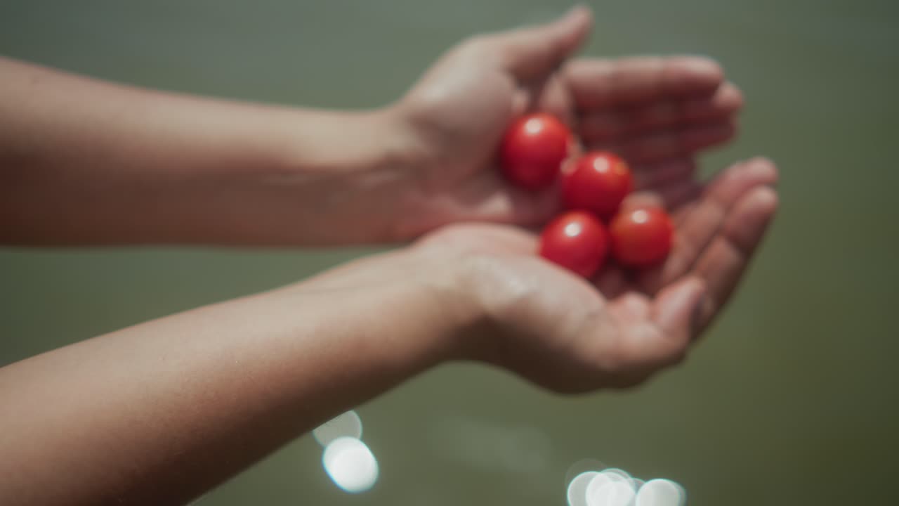 Close-up of blurred hands holding small red fruits over a shimmering water background. Soft focus and natural light