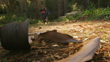 Mountain-biking-couple-riding-in-the-forest-on-a-sunny-day