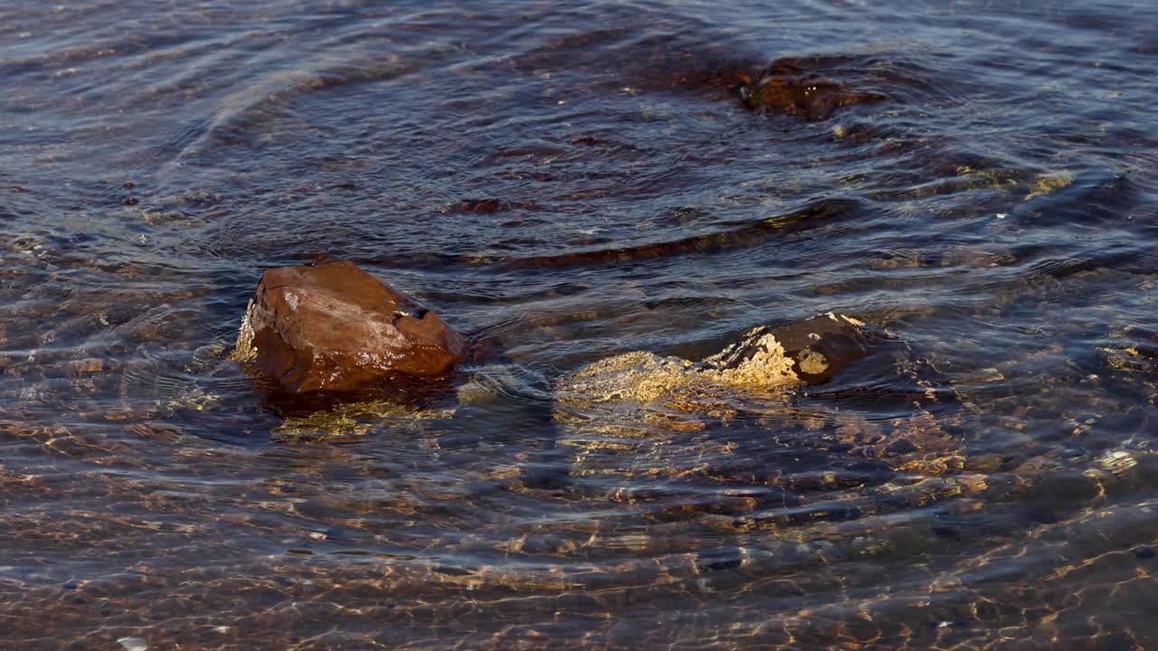 Onde con rocce in acqua bassa