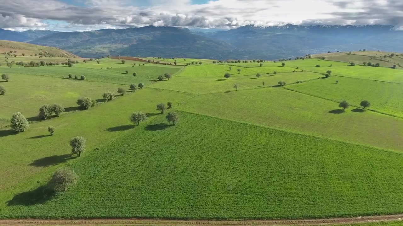 Vista aérea de exuberantes campos agrícolas verdes y colinas onduladas