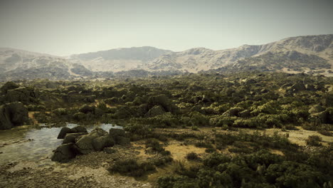 arid desert landscape with mountains in the distance