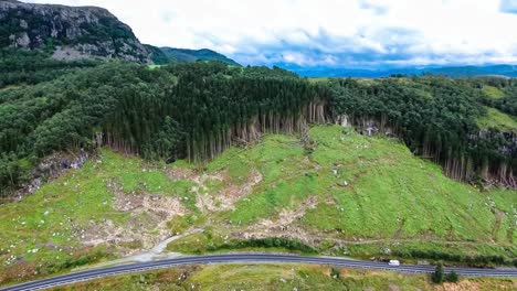 Abholzung-In-Norwegen