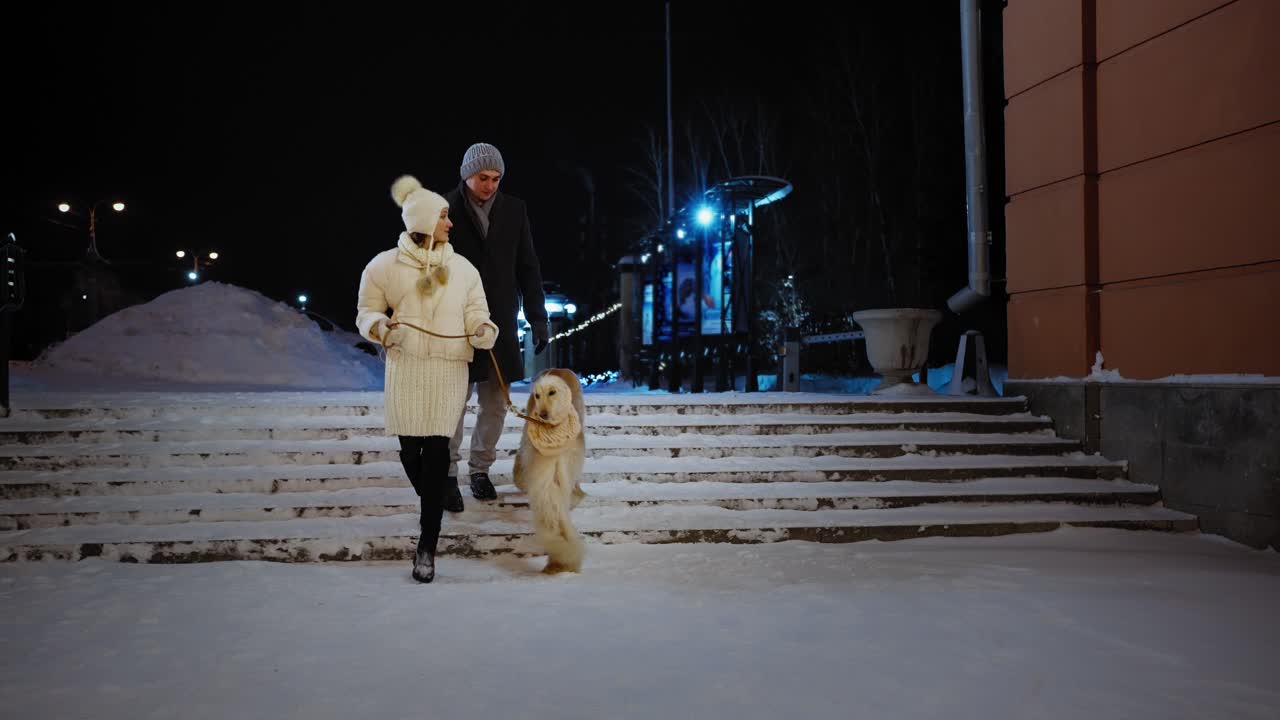 Couple Walking Dog in Snowy City at Night