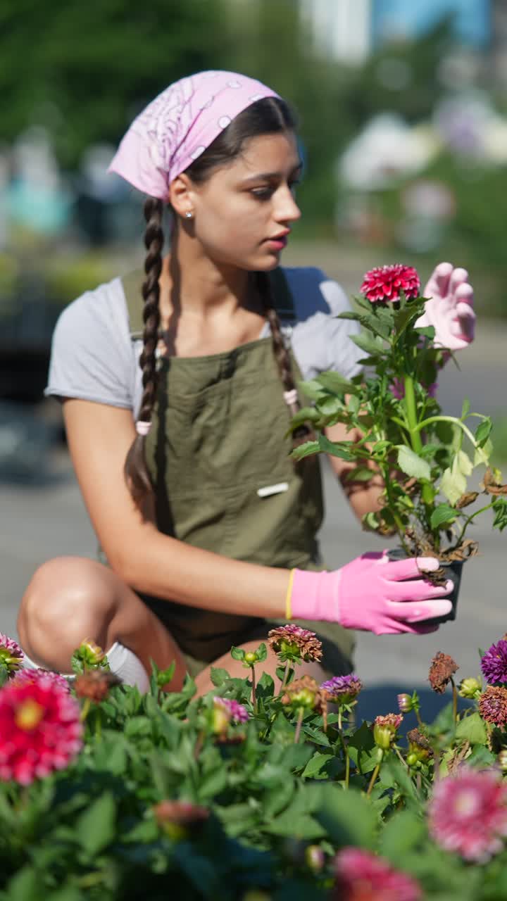 Jovem Mulher Jardinando com Dálias