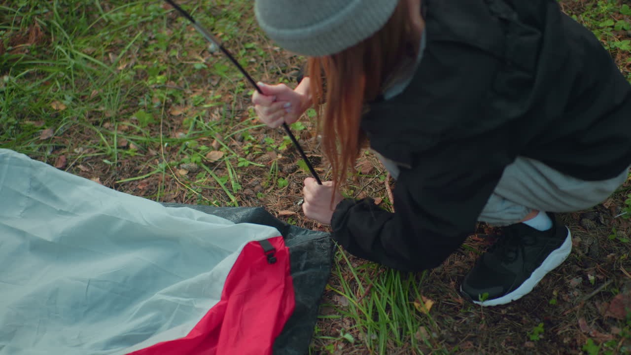 Top down view of woman fixing flexible tent pole into ring of tent fabric while hooking fabric clip around pole during tent setup on grassy forest ground