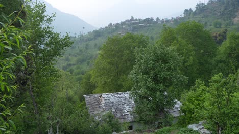 a stone-roofed house in the forest in a mountainous area