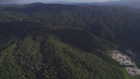 Scenic-View-Of-Abundant-Rainforest-Trees-In-Port-Douglas-In-The-Shire-of-Douglas,-Far-North-Queensland,-Australia