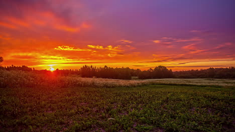 colorful sunrise over a farmland field of rapeseed flowers - time lapse