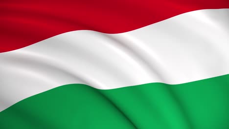 the national flag of hungary