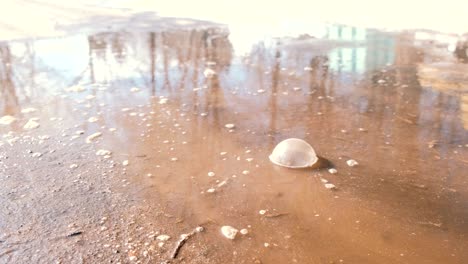 big bubbles in muddy puddle. close-up.