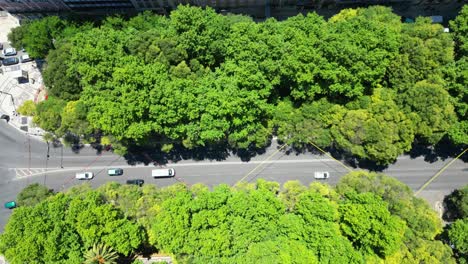 seen from above, cars at avenida da liberdade, the most luxurious avenue in lisbon. this avenue is covered by trees.lisbon,portugal