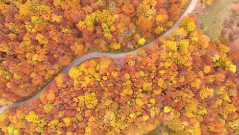 Aerial-view-of-incredible-roads-through-the-Durmitor-National-Park-in-Montenegro-full-of-amazing-fall-colours-during-autumn