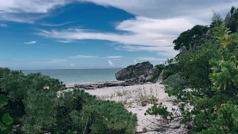 escena de playa tropical