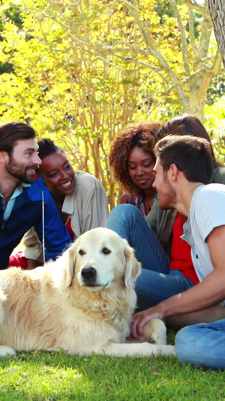 grupo de amigos felices sentados juntos con el perro