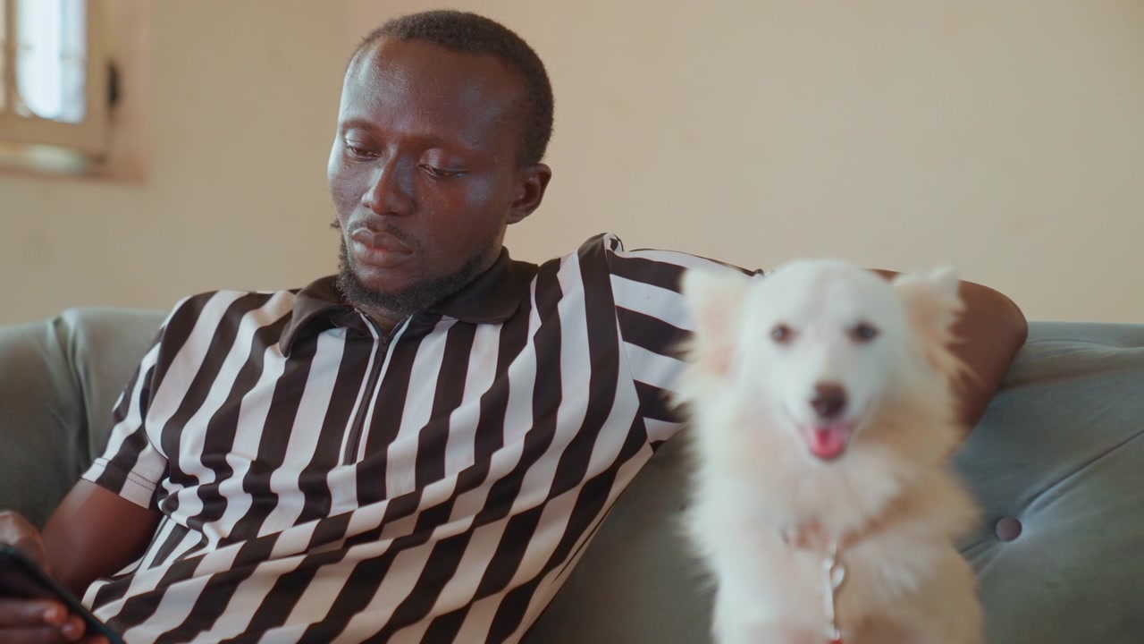 Black man and white dog closeup on sofa with man checking mobile, dog panting and alert with tongue out, striped shirt, natural window light, warm cinematic tone, candid lifestyle portrait