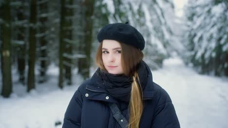 christmas card, seasonal cold scenery, attractive female, winter fashion