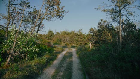 paseo estrecho de la zanja de safari en jutlandia baltico tiro de gimbal