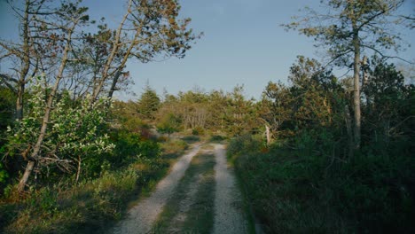 narrow safari trench walkway at jutland baltic gimbal shot