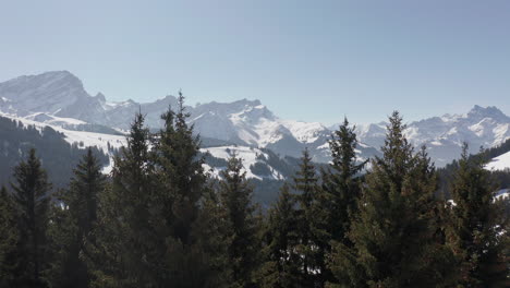 Luftaufnahmen-Von-Baumwipfeln-Mit-Blick-Auf-Ein-Wunderschönes-Schneebedecktes-Tal