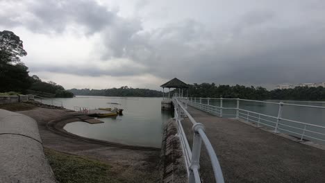 Macritchie-Reservoir-Bridge