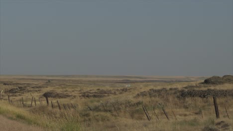 dry desert grassland rocky landscape