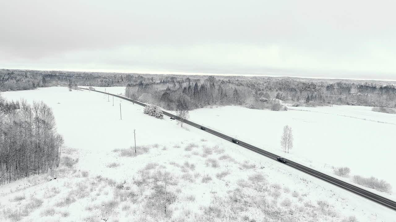 야생 얼어붙은 들판과 숲을 통해 외딴 시골길을 건너는 자동차