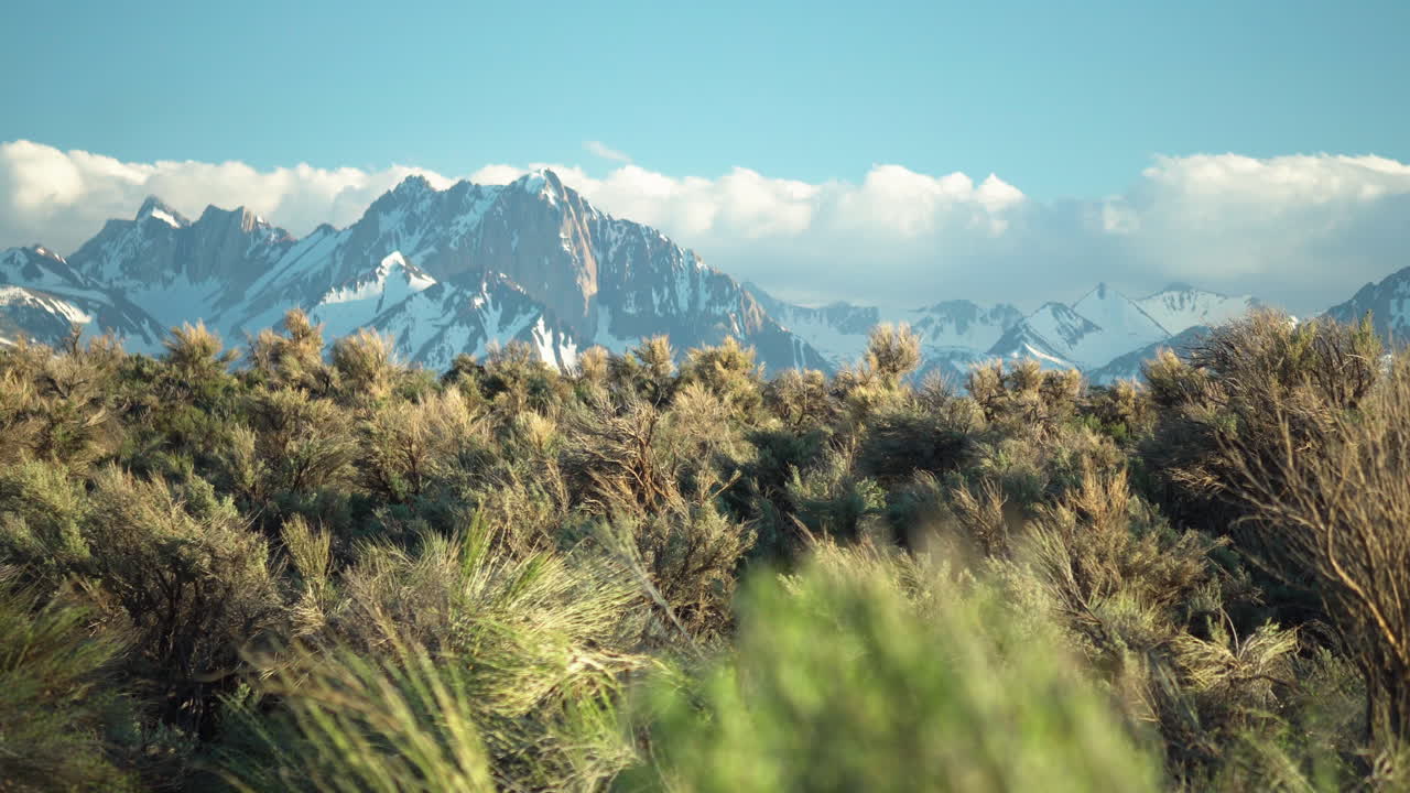 hermoso amanecer arroja un tono dorado en las llanuras salvajes de sable con majestuosas montañas cubiertas de nieve en el fondo