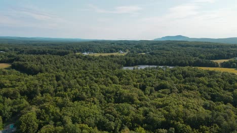 a calm drone shot of a thick green forest that has a little lake in the middle of it