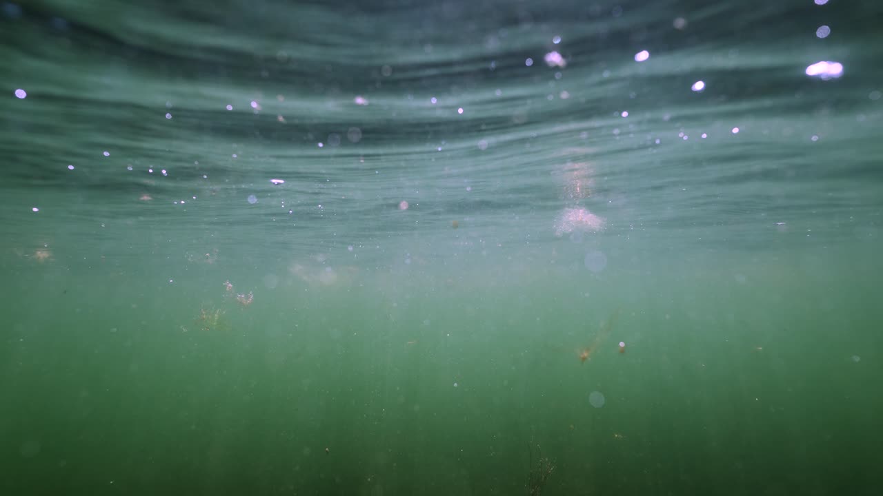 푸른 물 의 수중 풍경