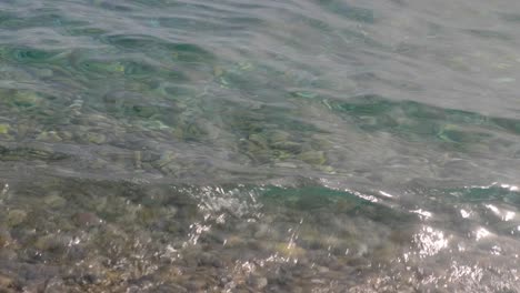 clear water with visible pebbles on a shallow shore