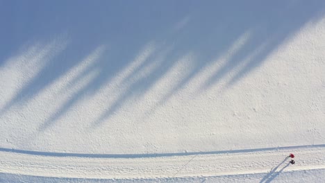 Walkthrough-a-wintry-landscape-with-snow-covered-trees--tilt-up-reveal