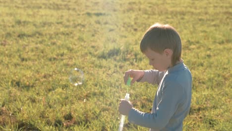 boy makes soap bubbles in a meadow and plays on a warm spring day.