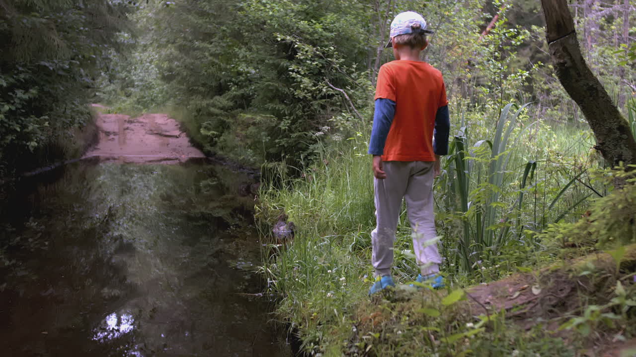 niño explorando un arroyo del bosque