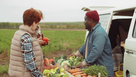 black farmer selling fresh vegetables to caucasian female customers