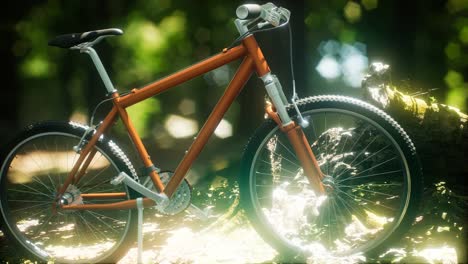 Mountain-bike-on-the-forest-path