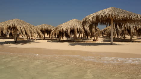 en la orilla del mar
