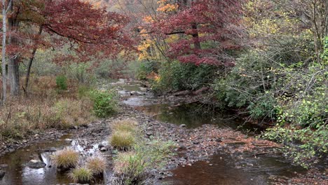 Un-Pequeño-Arroyo-Que-Fluye-A-Través-Del-Bosque-En-Un-Fresco-Día-De-Otoño-En-Las-Montañas