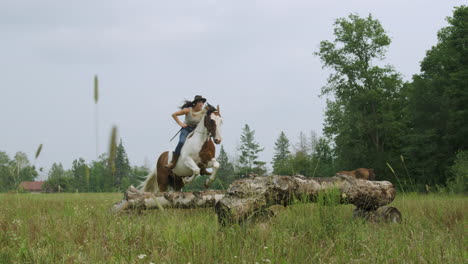 trained young female horse rider rides her horse through practice hurdles in a field-2