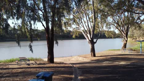 Drone-flying-between-trees-towards-a-river-and-a-boat-ramp